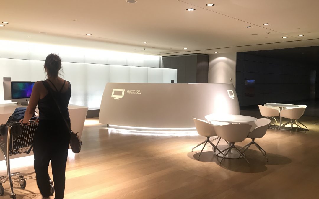 UNDERSTANDING THE TRAVELLER